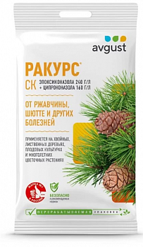 Ракурс 4мл 1/200 (Август)